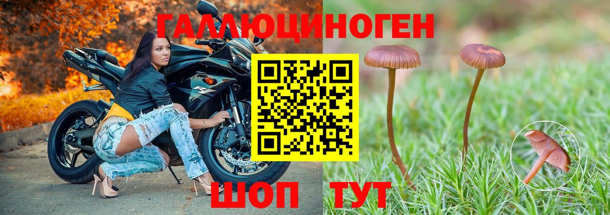 Галлюциногенные грибы MAGIC MUSHROOMS Фурманов