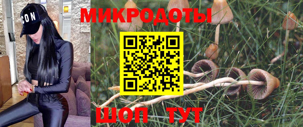 Фурманов  Галлюциногенные грибы мухоморы  Вход с VPN 
